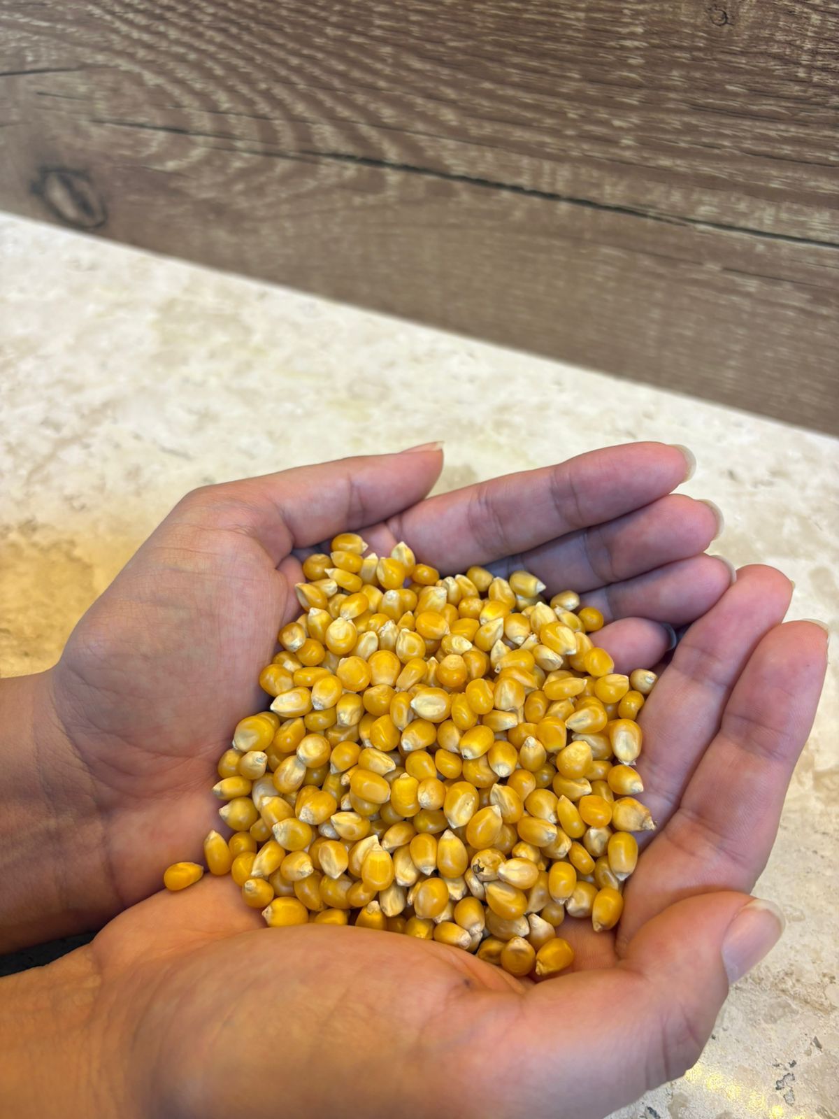 milho.jpeg